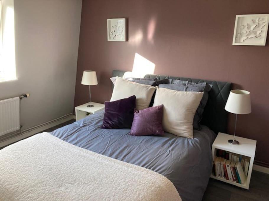 Agreable Et Spacieuse Maison Centre Ville Saint-Omer מראה חיצוני תמונה